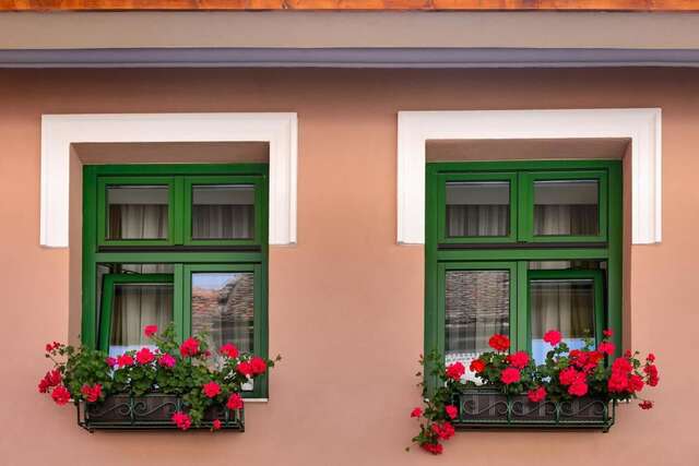 Апарт-отели Blumenhaus Sibiu Сибиу-41